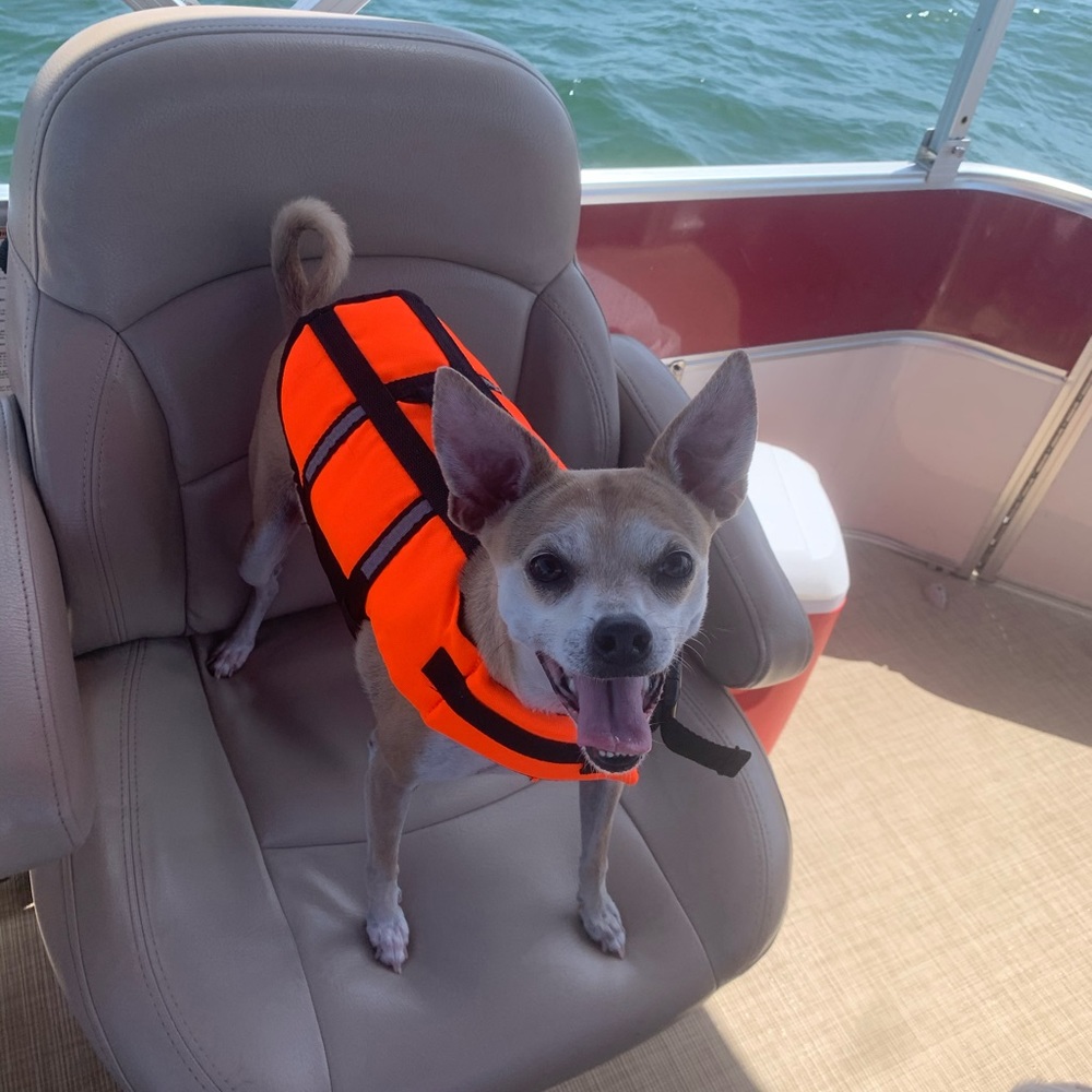 Meet your Posher, Christa